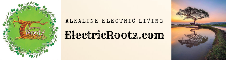 Electric Rootz