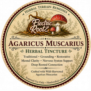 Agaricus Muscarius