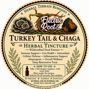 Chaga & Turkeytail