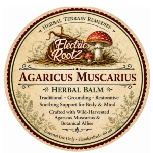 Agaricus Muscarius